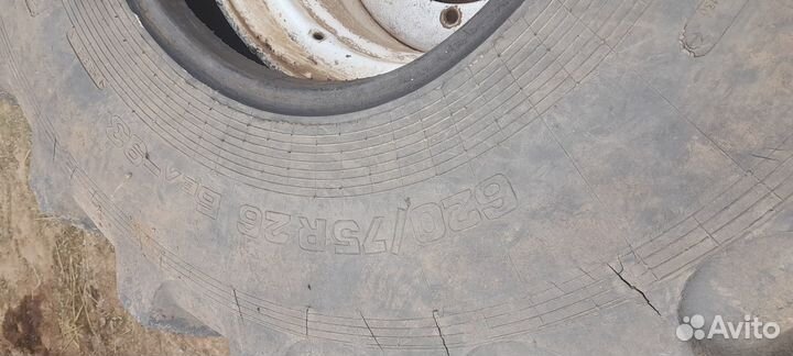 Прадам шину