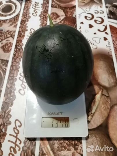 Семена жёлтого арбуза