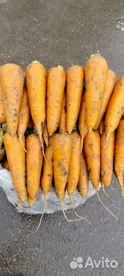 Доставка овощей и мяса