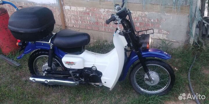 Suzuki birdie
