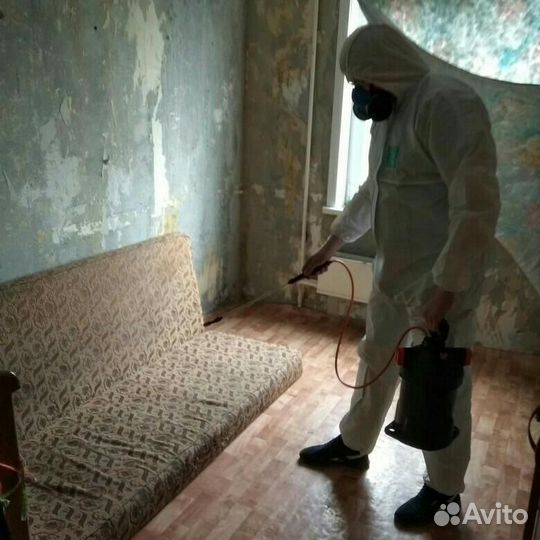 Уничтожение клопов тараканов муравьёв блох