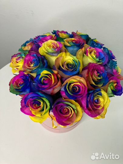 Розы радужная опт