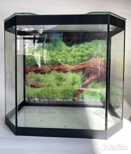 Аквариум новый