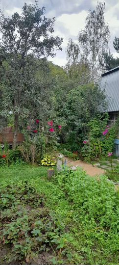 Участок 5,2 сот. (СНТ, ДНП)