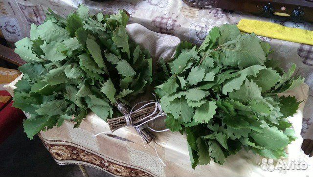 Продам веники для бани (дуб, береза, эвкалипт)