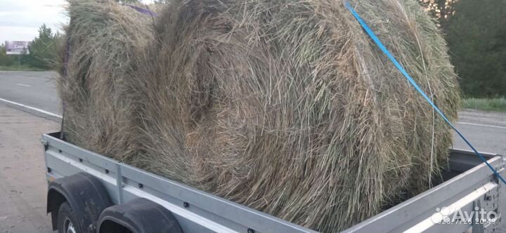 Сено 2024 доставка