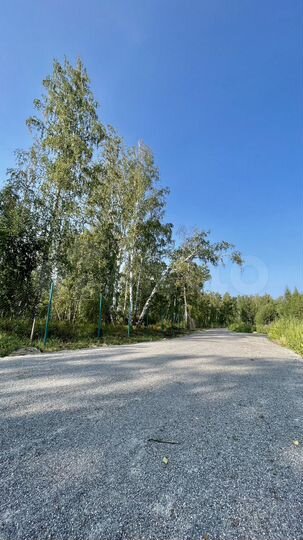 Участок 6 сот. (СНТ, ДНП)