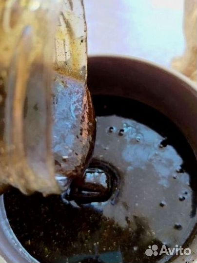 Травяная смесь для мужчины