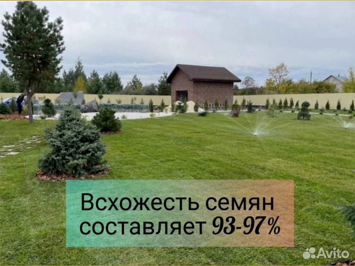 Газонная трава