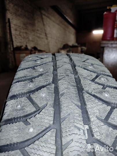 Колоса зимнии