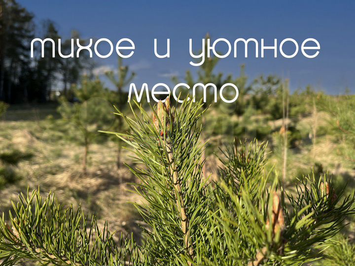 Участок 6 сот. (ИЖС)