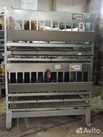 Клетка для несушек