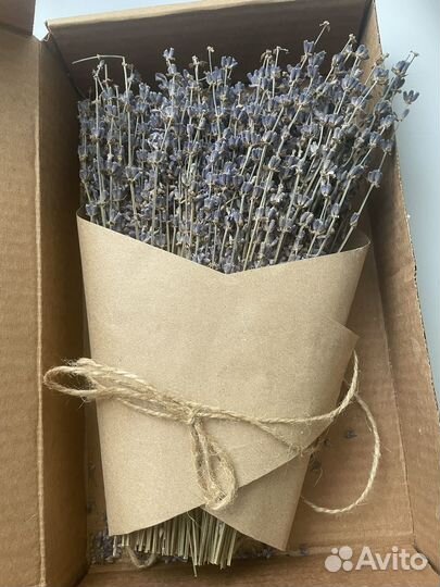 Букет лаванды