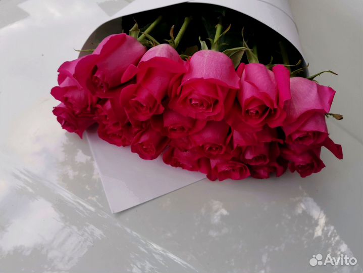 Розы, букет цветов, 101 роза. Розы опт