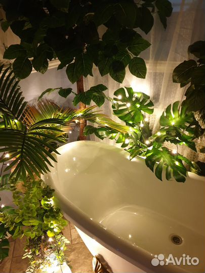 Фотостудия в аренду