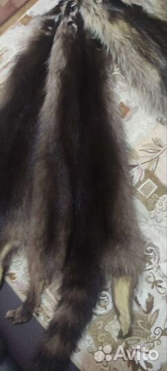 Шкуры енота