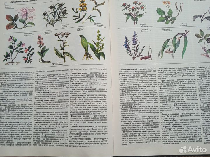 Энциклопедия домашнего хозяйства