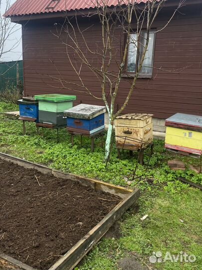 Улий для пчел