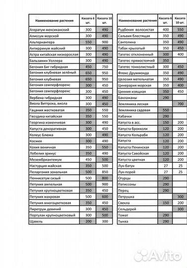 Цветочная и овощная рассада от производителя