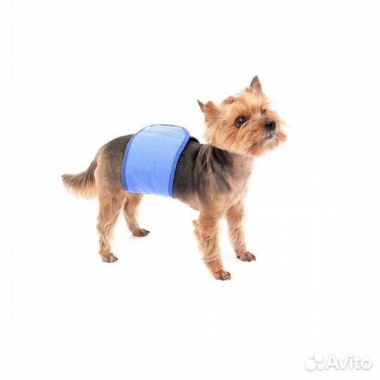 Osso пояс для кобелей многоразовый впитывающий