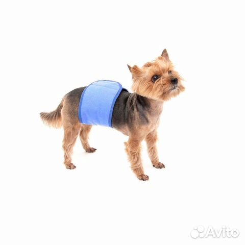 Osso пояс для кобелей многоразовый впитывающий