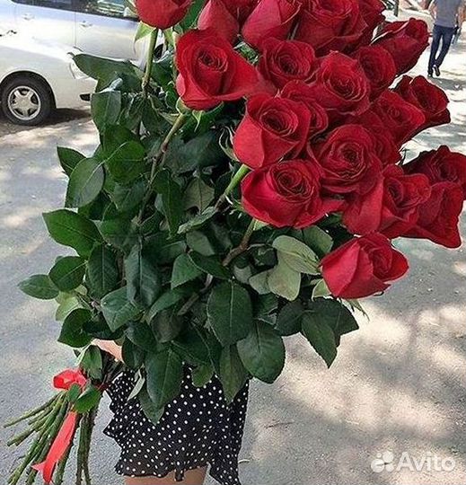 Розы Букеты Цветы Розы 31 101 151 201 Доставка