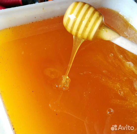 Акациевый мед свежий 2024