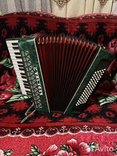 Аккордеон березка 2