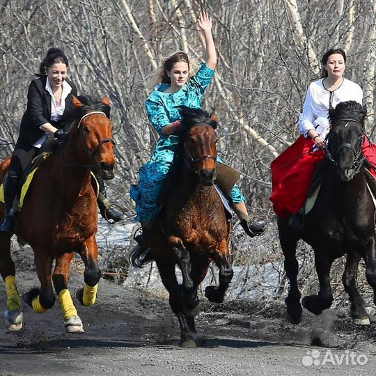 Конные прогулки