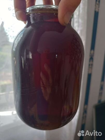 Мед гречишный 2023