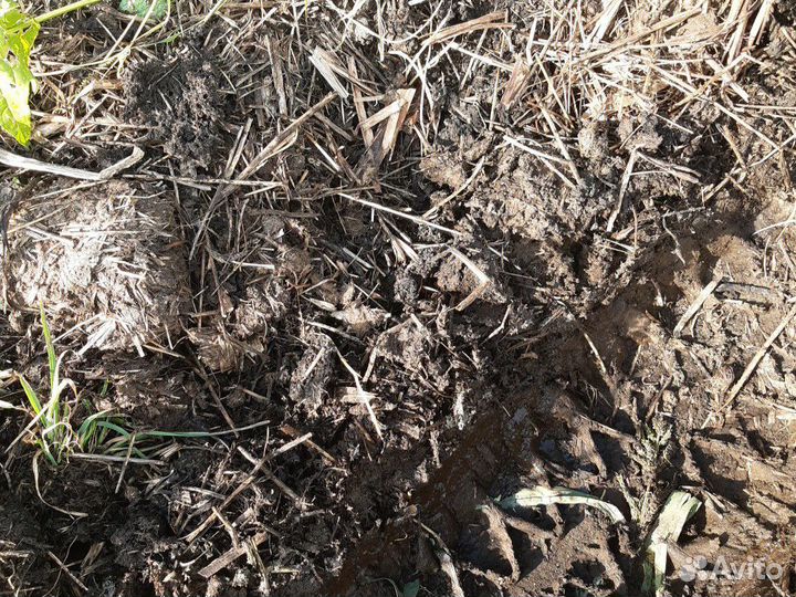 Продам навоз в мешках (от коров)