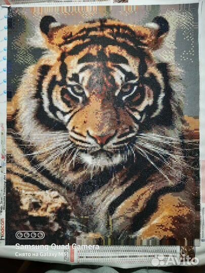Алмазная мозаика Тигр