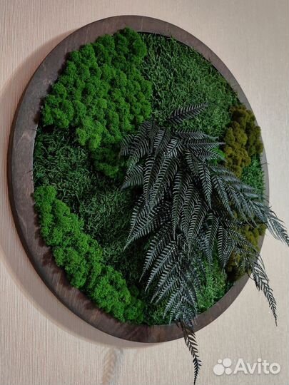 Зелёные картины, панно из мха