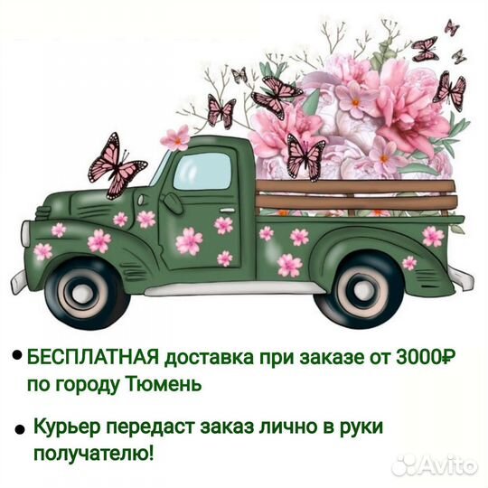 Фикус Лирата Комнатные растения Доставка растений