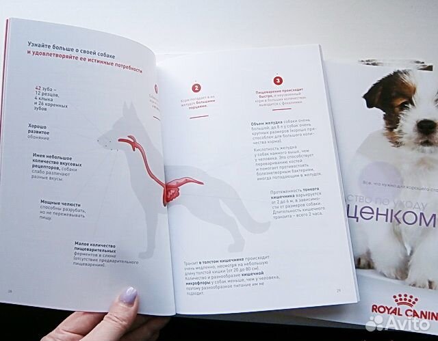 Ветпаспорта и руководства по уходу за щенком