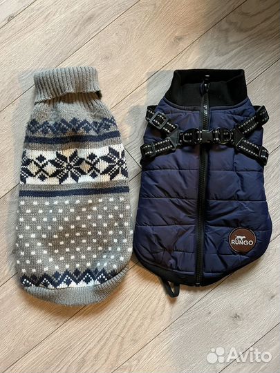 Одежда для собаки (фр.будьдог)