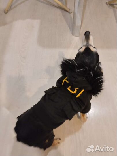 Куртка для собаки