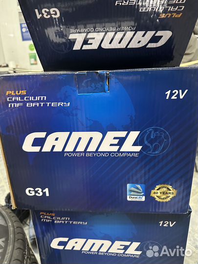 Аккумулятор на Фредлайнер