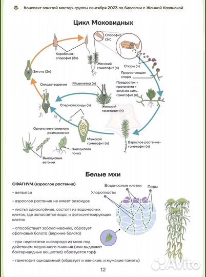 Подготовка к егэ по биологии