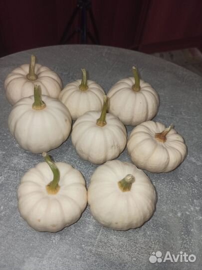 Тыква для декора