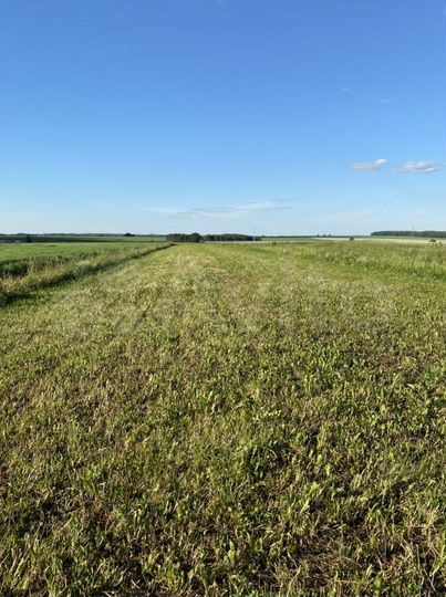 Участок 26 сот. (ИЖС)