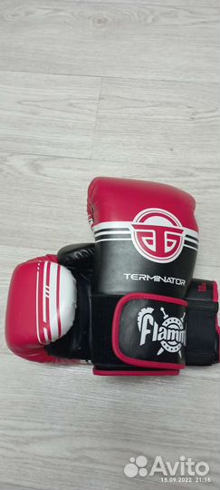 Боксерские перчатки Flamma Terminator 10oz