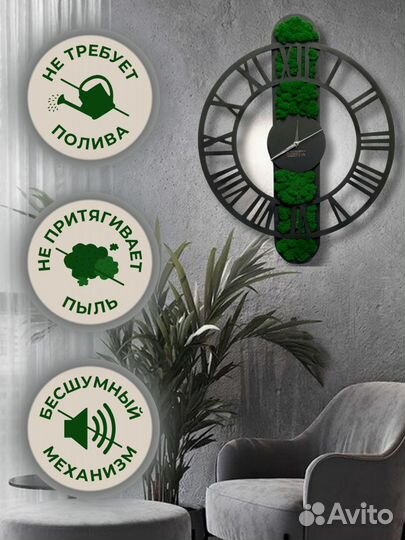 Часы настенные со стабилизированной зеленью