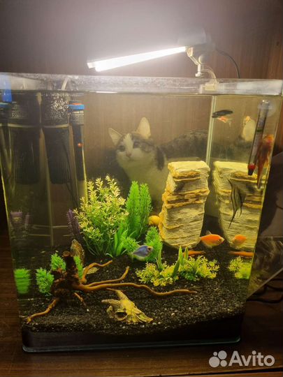 Аквариум Dennerle (Германия) 60 литров