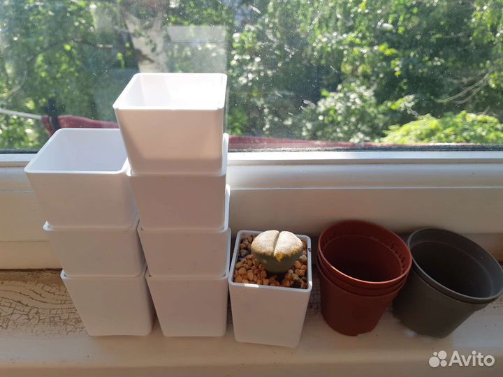 Горшки для суккулентов и др.растений