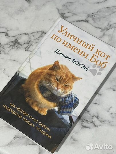 Книга Уличный кот по имени Боб