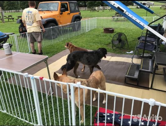 Вольер для собак 4 в 1