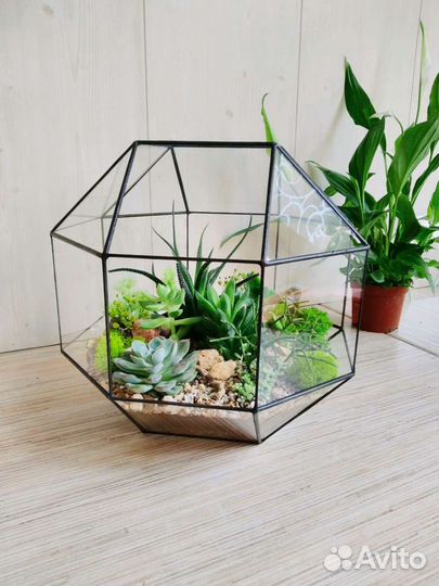 Флорариум с суккулентами