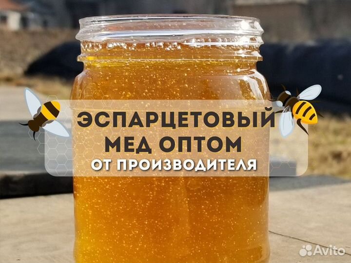 Свежий мед оптом эспарцетовый