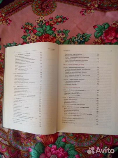 Книга. Л.Д.Гительман. Преобразующий менеджмент